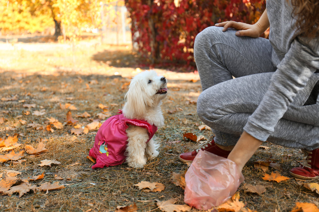 Don’t Bag It and Leave It: Why Dog Waste Needs to Be Picked Up and Taken With You