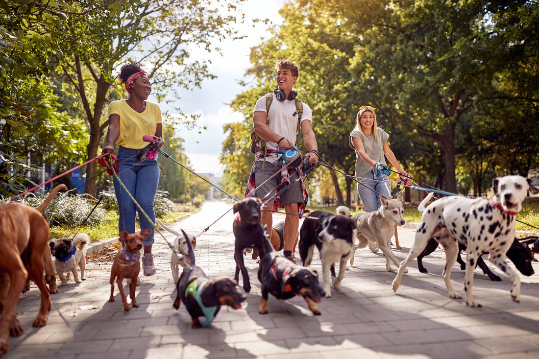 Dog Waste Is a Bigger Problem Than Most People Realize