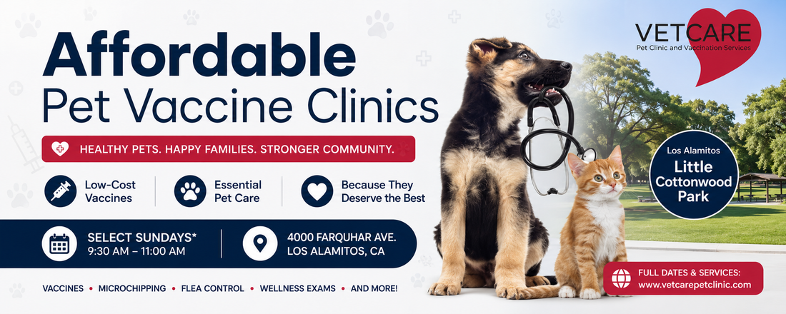 Affordable Vet Care Near Los Alamitos, Rossmoor and Long Beach