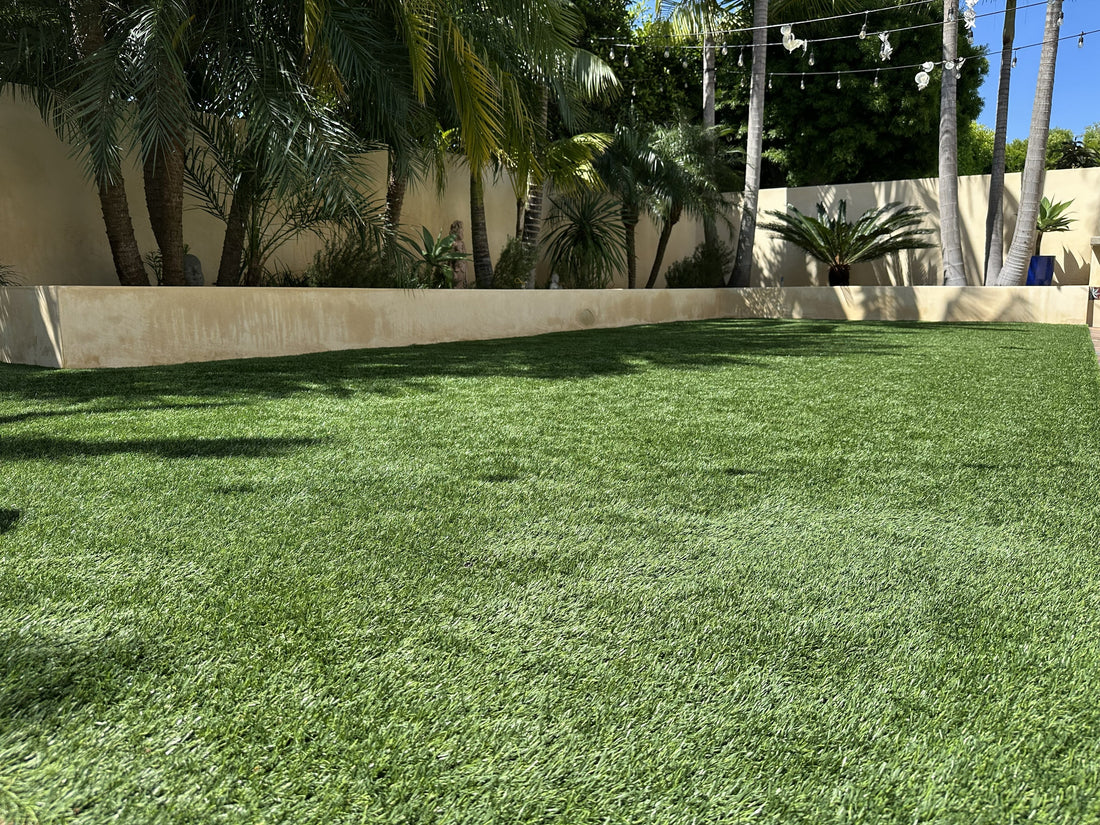 Artificial Turf and Summer: What Dog Owners Should Know