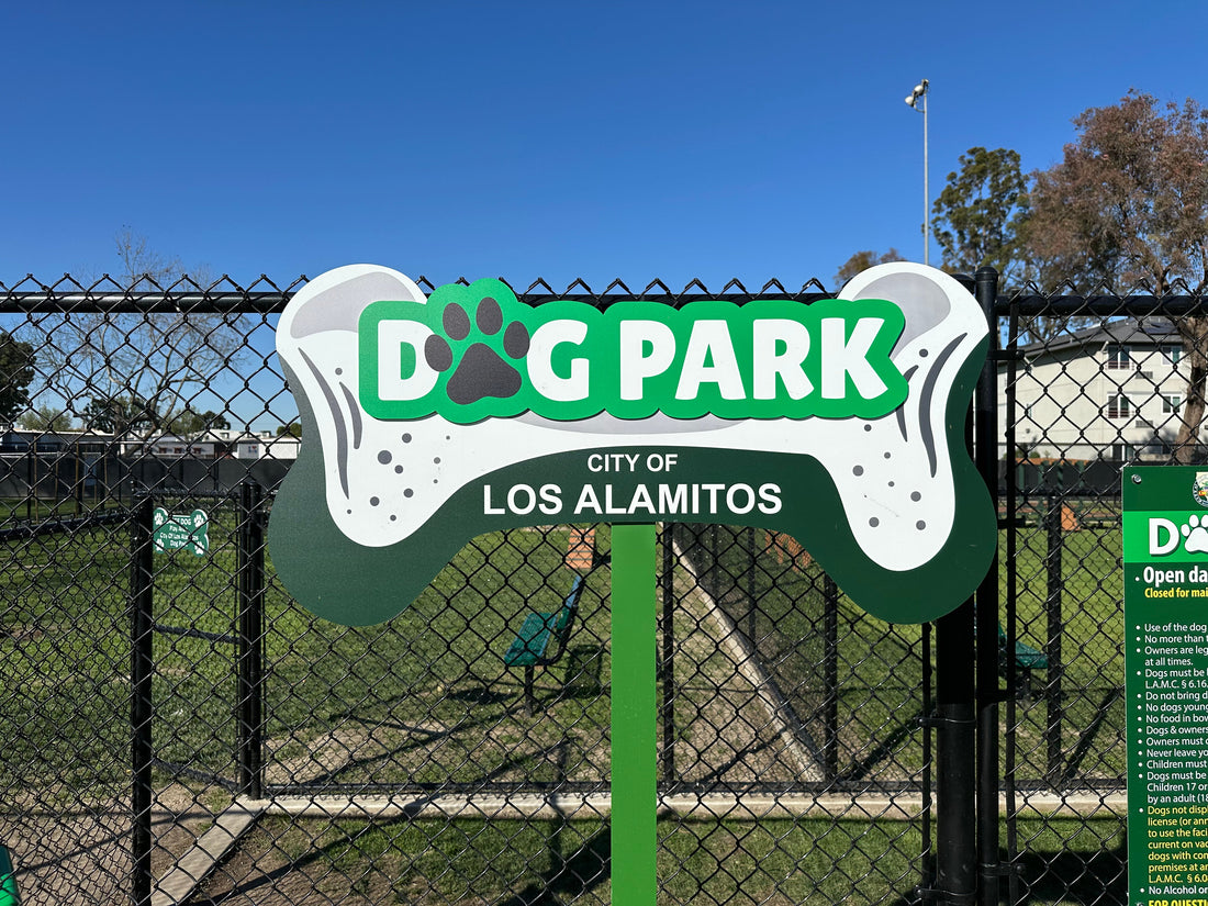 Dog Parks Near Los Alamitos, Seal Beach, Rossmoor, and Huntington Beach + Easy Dog Enrichment Ideas at Home