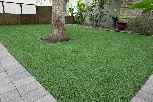 Artificial Turf Refresh