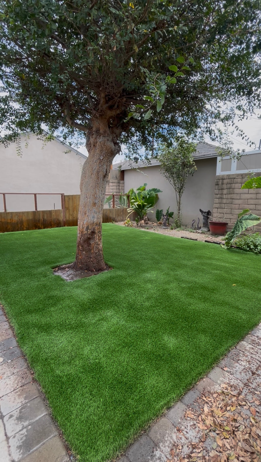 Pet turf after cleaning